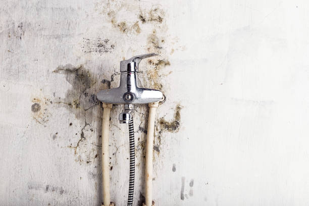 Best Office Mold Removal Services  in St Paul, MO