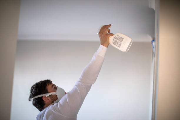 Best Emergency Mold Removal  in St Paul, MO