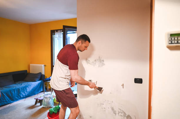 Certified Mold Removal in St Paul, MO